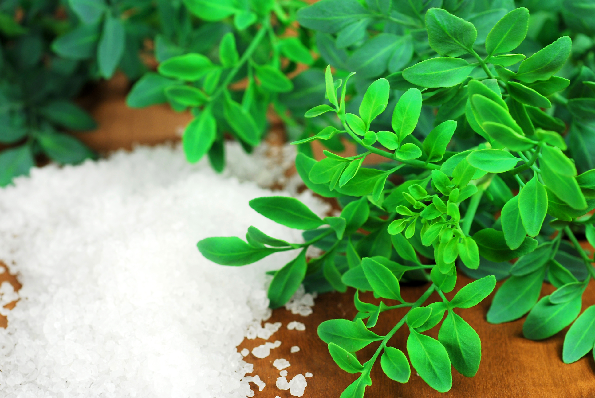 Brazilian rue and coarse salt